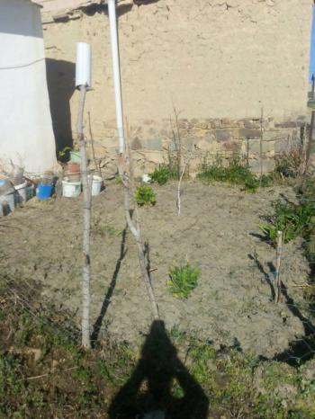 ULUKIŞLA  GÜNEY  köyünde  ekonomik   fiyata  sat. bahçeli müstakil ev