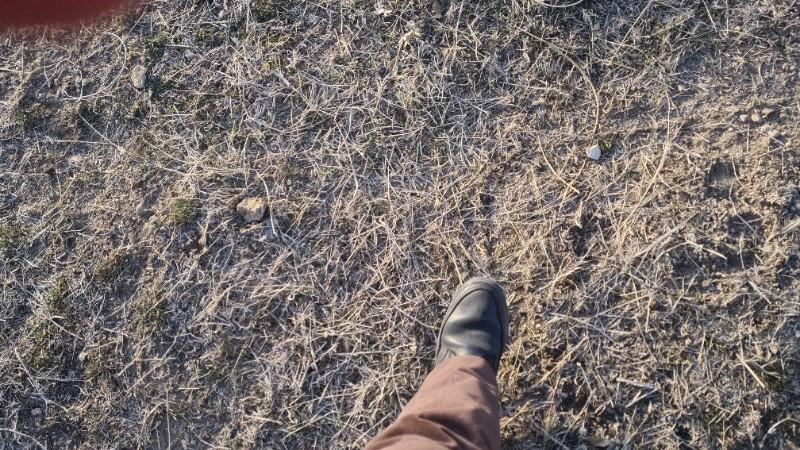 Niğde Taşlıca köyünde 7.5 dönüm sat bağ  (arsa)