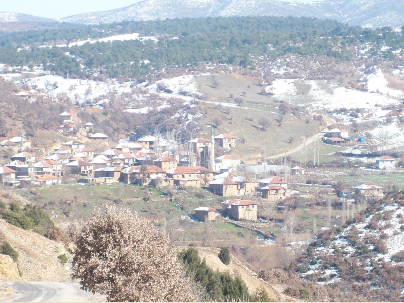 UŞAK SİVASLI MÜSTAKİL EV TAPU SAHİBİ PERTA EMLAK ÜMİT TAHMAZ