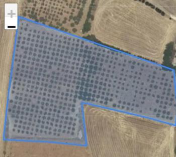 YILMAZ EMLAK'TAN KAHTANIN EN UCUZ BADEM TARLASI 16.800m² SATIŞTA