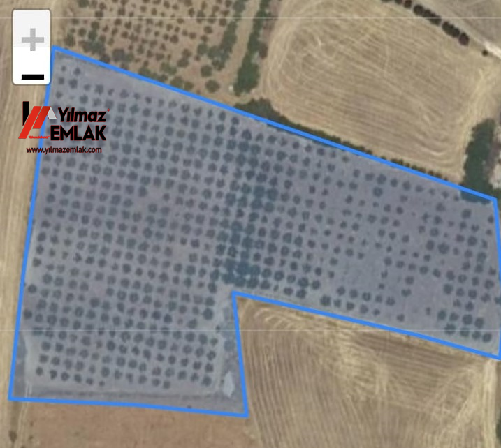 YILMAZ EMLAK'TAN KAHTANIN EN UCUZ BADEM TARLASI 16.800m² SATIŞTA