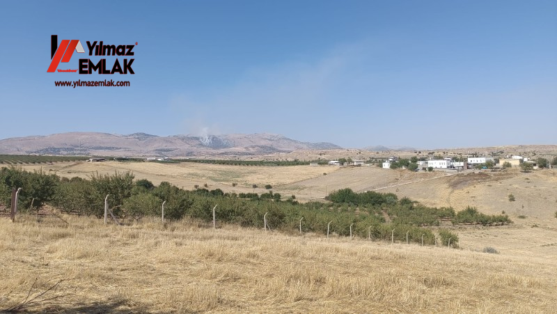 YILMAZ EMLAK'TAN KAHTANIN EN UCUZ BADEM TARLASI 16.800m² SATIŞTA