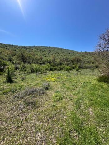 AFYON ÜÇOK EMLAKTAN ATAKÖY DE SATILIK 8.922M² YATIRIMLIK BAĞ