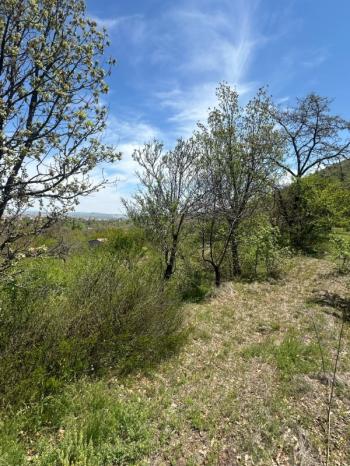 AFYON ÜÇOK EMLAKTAN ATAKÖY DE SATILIK 8.922M² YATIRIMLIK BAĞ