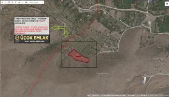 AFYON ÜÇOK EMLAKTAN ATAKÖY DE SATILIK 8.922M² YATIRIMLIK BAĞ