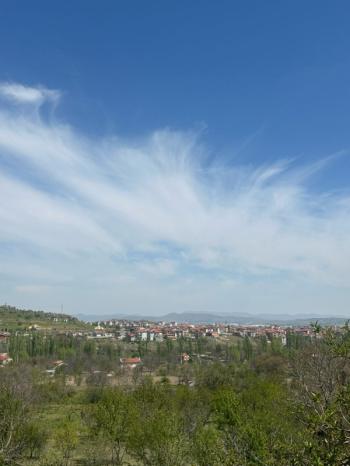 AFYON ÜÇOK EMLAKTAN ATAKÖY DE SATILIK 8.922M² YATIRIMLIK BAĞ