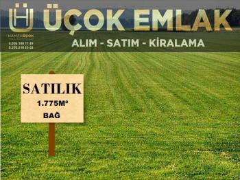AFYON ÜÇOK EMLAKTAN KALECİK YOL ÜZERİ SATILIK 1.775M² BAĞ