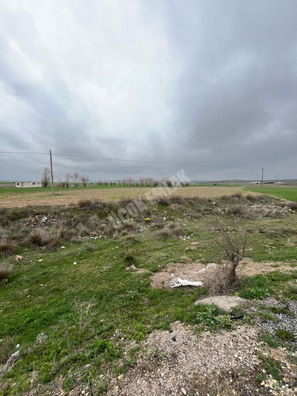 AFYON ÜÇOK EMLAKTAN ÇAY KIZILDAĞ MEVKİ KONYA YOLU ÜZERİ SATILIK 6.875M² TARLA
