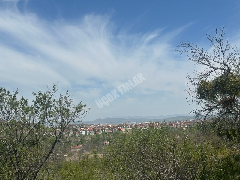 AFYON ÜÇOK EMLAKTAN ATAKÖY DE SATILIK 8.922M² YATIRIMLIK BAĞ
