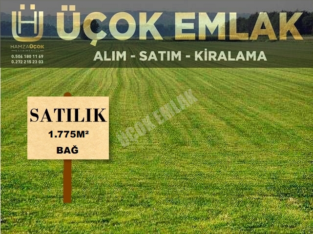 AFYON ÜÇOK EMLAKTAN KALECİK YOL ÜZERİ SATILIK 1.775M² BAĞ