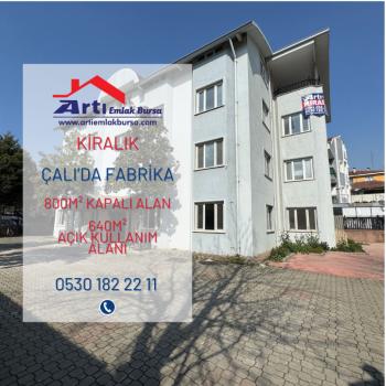 ARTI'DAN ÇALI'DA KİRALIK FABRİKA, OKUL VEYA İMALATHANE BİNASI