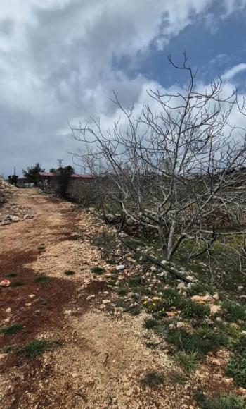 ASLAN'DAN ARSLANLI'DA 489 M2 İMARLI KUPON ARSA