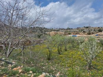 ASLAN'DAN ARSLANLI'DA 489 M2 İMARLI KUPON ARSA