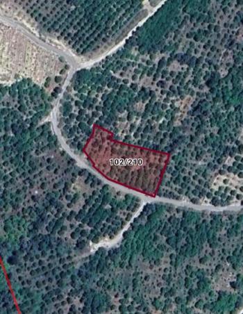 ASLAN'DAN ELVANLI'DA 1.852 M2 MÜSTAKİL TAPULU BAHÇE