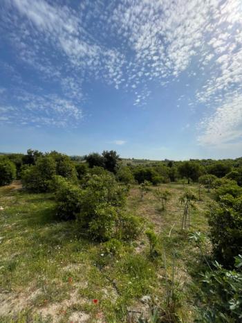 ASLAN'DAN ELVANLI'DA 1.852 M2 MÜSTAKİL TAPULU BAHÇE