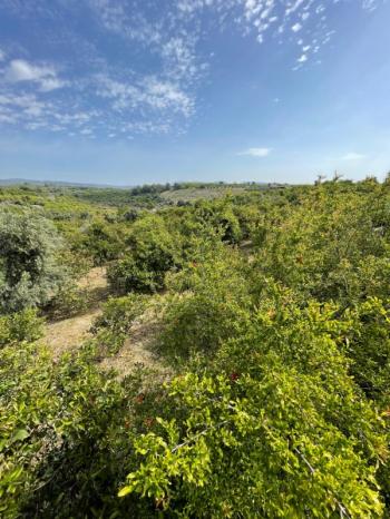 ASLAN'DAN ELVANLI'DA 1.852 M2 MÜSTAKİL TAPULU BAHÇE