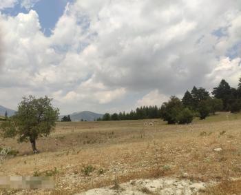 ASLAN'DAN KIZILBAĞ'DA 11.580 M2 YOL CEPHELİ SATILIK TARLA