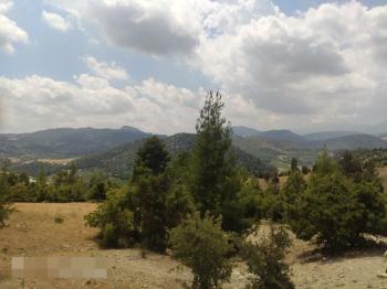 ASLAN'DAN KIZILBAĞ'DA 11.580 M2 YOL CEPHELİ SATILIK TARLA