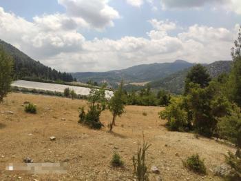 ASLAN'DAN KIZILBAĞ'DA 11.580 M2 YOL CEPHELİ SATILIK TARLA