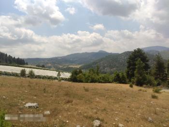 ASLAN'DAN KIZILBAĞ'DA 11.580 M2 YOL CEPHELİ SATILIK TARLA