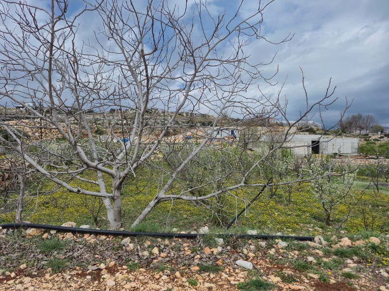 ASLAN'DAN ARSLANLI'DA 489 M2 İMARLI KUPON ARSA
