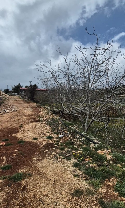 ASLAN'DAN ARSLANLI'DA 489 M2 İMARLI KUPON ARSA