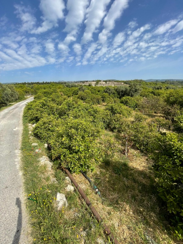 ASLAN'DAN ELVANLI'DA 1.852 M2 MÜSTAKİL TAPULU BAHÇE