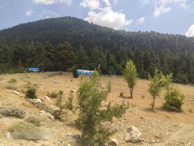 ASLAN'DAN KIZILBAĞ'DA 11.580 M2 YOL CEPHELİ SATILIK TARLA