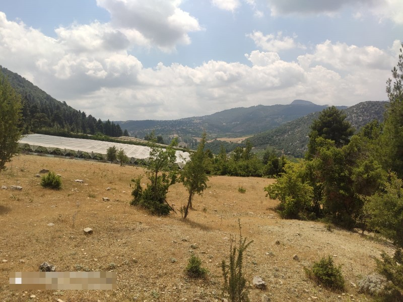 ASLAN'DAN KIZILBAĞ'DA 11.580 M2 YOL CEPHELİ SATILIK TARLA