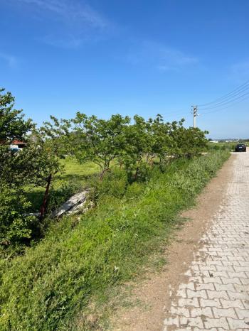 Satılık Köy Evi , Manyas Eskiçatal Mahallesi’nde Doğayla İç İçe Yaşam Fırsatı
