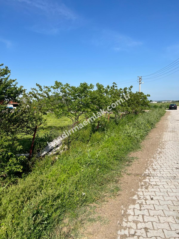 Satılık Köy Evi , Manyas Eskiçatal Mahallesi’nde Doğayla İç İçe Yaşam Fırsatı