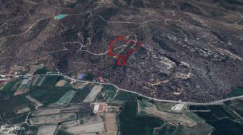 Bafa Gölü Manzaralı Zeytinlik