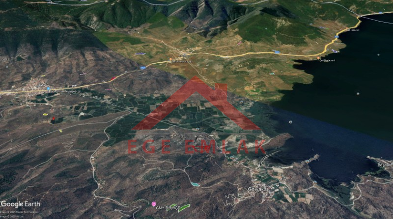 Bafa Gölü Manzaralı Zeytinlik