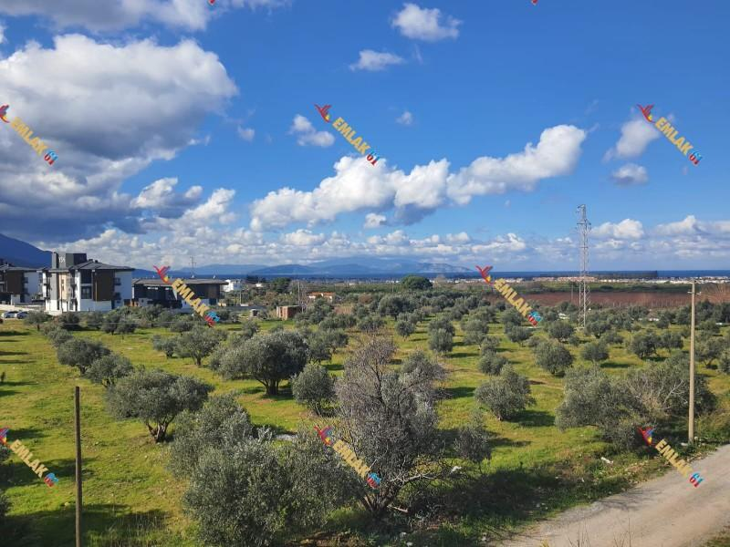 KUŞADASI DAVUTLARDA HAVUZLU SİTEDE GENİŞ DENİZ MANZARALI 2+1 SATILIK DAİRE