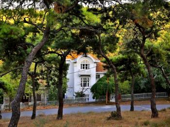 Büyükada 'da Deniz ve Orman Manzaralı Satılık Tarihi Köşk