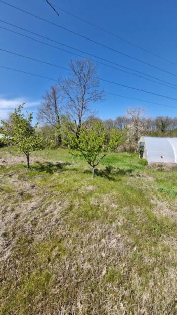 SATILIK 4+1 ÇİFTLİK EVİ + 300 m2 ÇELİK KONSTRÜKSİYON  ÇADIR + 2 ADET SERA 