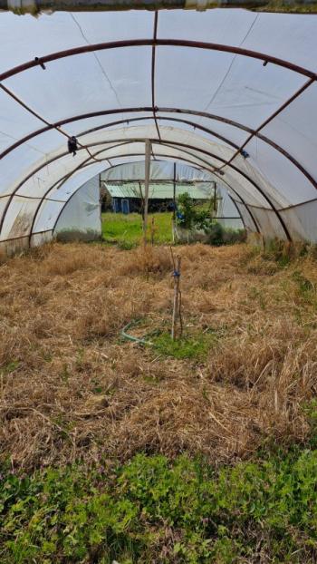 SATILIK 4+1 ÇİFTLİK EVİ + 300 m2 ÇELİK KONSTRÜKSİYON  ÇADIR + 2 ADET SERA 