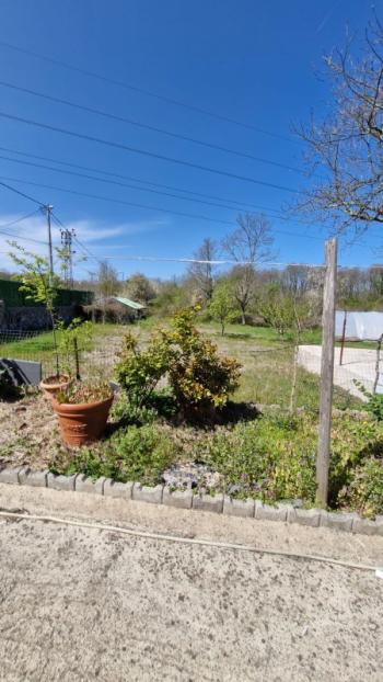 SATILIK 4+1 ÇİFTLİK EVİ + 300 m2 ÇELİK KONSTRÜKSİYON  ÇADIR + 2 ADET SERA 