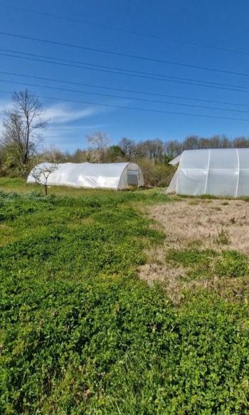 SATILIK 4+1 ÇİFTLİK EVİ + 300 m2 ÇELİK KONSTRÜKSİYON  ÇADIR + 2 ADET SERA 