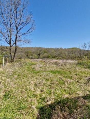 SATILIK 4+1 ÇİFTLİK EVİ + 300 m2 ÇELİK KONSTRÜKSİYON  ÇADIR + 2 ADET SERA 