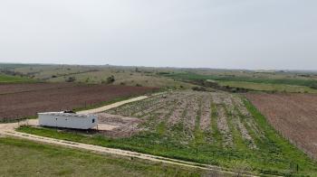 10.967 m² Çiftlik İmarlı Tarla. İster Kupon deyin İster Banko, yakından görmeniz gereken bir arazi!