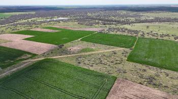 2.473 m2 KÖYE YAKIN SATILIK TARLA
