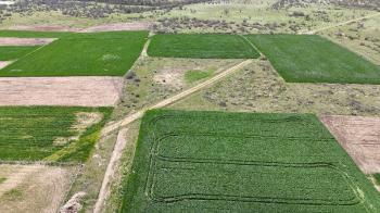 2.473 m2 KÖYE YAKIN SATILIK TARLA