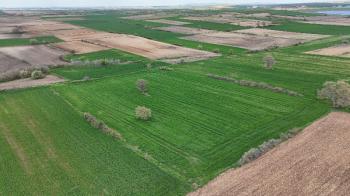 9.501 m² Çiftlik İmarlı Fırsat Tarla Kırklareli’nde Bu fiyata Böylesi Başka Yerde Yok.