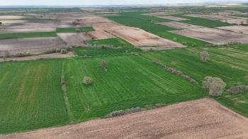 9.501 m² Çiftlik İmarlı Fırsat Tarla Kırklareli’nde Bu fiyata Böylesi Başka Yerde Yok.