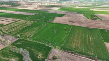 9.501 m² Çiftlik İmarlı Fırsat Tarla Kırklareli’nde Bu fiyata Böylesi Başka Yerde Yok.