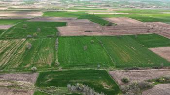 9.501 m² Çiftlik İmarlı Fırsat Tarla Kırklareli’nde Bu fiyata Böylesi Başka Yerde Yok.