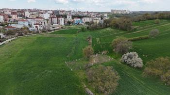477 m² ÇERKEZKÖYDE 4 KAT İMARLI SATILIK ARSA