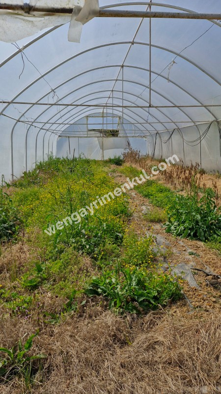SATILIK 4+1 ÇİFTLİK EVİ + 300 m2 ÇELİK KONSTRÜKSİYON  ÇADIR + 2 ADET SERA 
