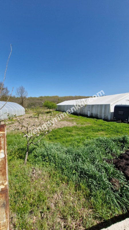 SATILIK 4+1 ÇİFTLİK EVİ + 300 m2 ÇELİK KONSTRÜKSİYON  ÇADIR + 2 ADET SERA 